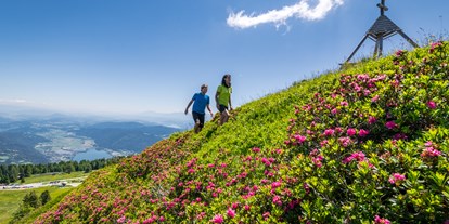 Wellnessurlaub - Shiatsu Massage - Österreich - 147 km Wanderwege direkt vor den Toren des Resorts - Feuerberg Mountain Resort