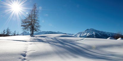 Wellnessurlaub - Ladis - Glitzernde Winteridylle genießen - auch im Winter ein Genuss mit Ihrem vierbeinigen Freund - Inntalerhof - DAS Panoramahotel