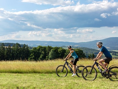 Wellnessurlaub - Umgebungsschwerpunkt: am Land - Radsport im Bayerischen Wald - Wellness & Naturresort Reischlhof****S