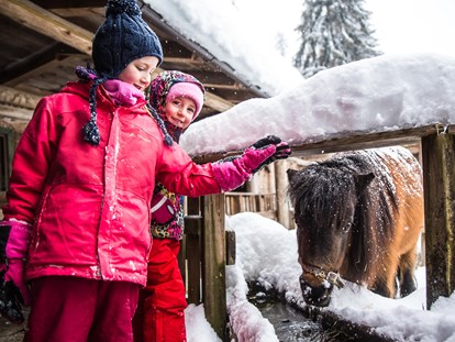 Wellnessurlaub - Gesichtsbehandlungen - Österreich - Pony Reiten direk am Hotel - Alpin Family Resort Seetal****s
