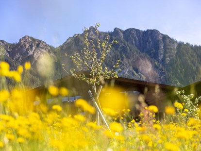 Wellnessurlaub - Hotelbar - Blühende Panoramawiese mit Blick auf die Alpbacher Berge  - Alpbacherhof****s - Mountain & Spa Resort