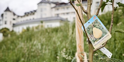 Wellnessurlaub - Steiermark - Streuobstwiese, Thema Nachhaltigkeit, IMLAUER Hotel Schloss Pichlarn - IMLAUER Hotel Schloss Pichlarn