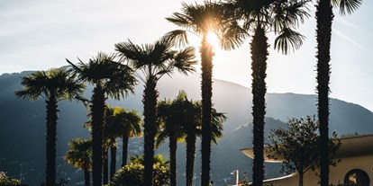 Wellnessurlaub - Umgebungsschwerpunkt: Strand - Palm trees in Switzerland - Hotel Eden Roc Ascona 