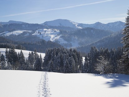 Wellnessurlaub - Oberstdorf - Der Winter in Haubers Naturresort bietet viele Möglichkeiten zur Bewegung an der klare Luft und mit herrlichen Ausblicken. - Haubers Naturresort