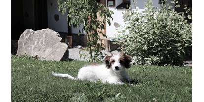 Wellnessurlaub - Preisniveau: exklusiv - Österreich - INNs HOLZ hundefreundliches Chaletdorf Urlaub mit Hund im Sommer - INNs HOLZ Chaletdorf