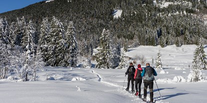 Wellnessurlaub - Preisniveau: moderat - Tiroler Oberland - BergBuddies