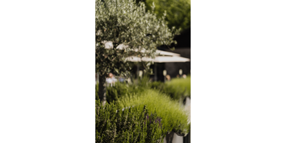 Wellnessurlaub - barrierefrei - Partschins - Mediterrane Pflanzen verleihen eine harmonische Atmosphäre - Hotel das stachelburg