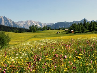 Wellnessurlaub - Entgiftungsmassage - Seefeld in Tirol - Natur & Spa Hotel Lärchenhof