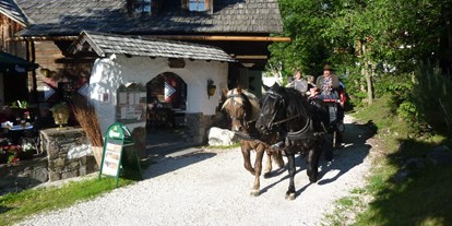 Wellnessurlaub - Umgebungsschwerpunkt: Berg - Hermagor - Pferdekutschen Erlebnisfahrten - Hotel GUT Trattlerhof & Chalets****