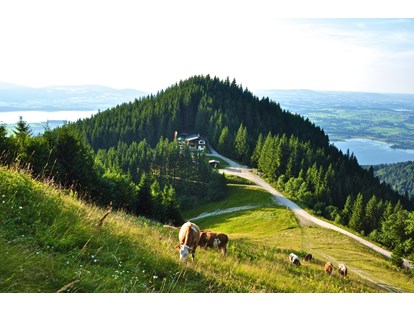 Wellnessurlaub - Ayurveda-Therapie - Hirschegg (Mittelberg) - Unsere Berghütte am Tegelberg  - Hotel Das Rübezahl