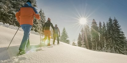 Wellnessurlaub - Hot Stone - Reith im Alpbachtal - Schneeschuhwandern - Sport- und Wellnesshotel Held****s
