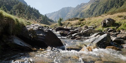 Wellnessurlaub - Umgebungsschwerpunkt: Berg - Eisacktal - Entspannung - Naturhotel Rainer