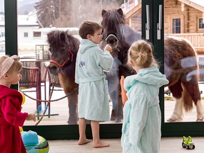 Wellnessurlaub - Lymphdrainagen Massage - Mayrhofen (Mayrhofen) - Tierischer Besuch - Alpin Family Resort Seetal****s