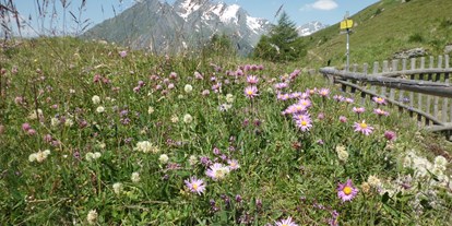 Wellnessurlaub - Biosauna - Osttirol - Alpinhotel Jesacherhof