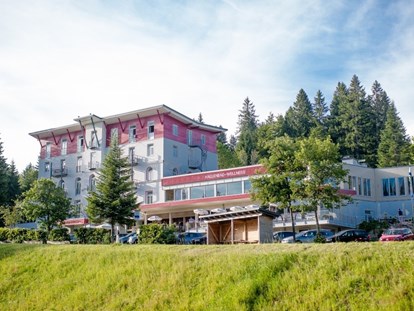 Wellnessurlaub - Hotel-Schwerpunkt: Wellness & Natur - Höchenschwand - Waldhotel am Notschreipass