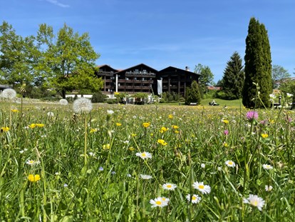 Wellnessurlaub - Peeling - Balderschwang - Frühling in Oberstaufen  - Lindner Parkhotel & Spa Oberstaufen