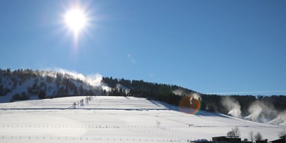 Wellnessurlaub - Skilift - Sauerland - Winter in Willingen - Göbel´s Landhotel