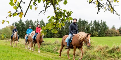 Wellnessurlaub - Ganzkörpermassage - Sauerland - Ausritt auf unseren Finnpferden - Freund Das Hotel & Natur Resort