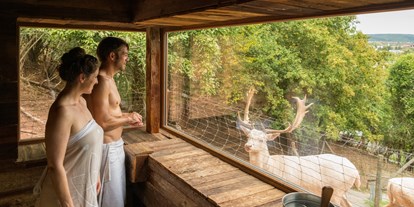 Wellnessurlaub - Lymphdrainagen Massage - Meddersheim - Hubertus Sauna am Wildgehege - BollAnts Spa im Park