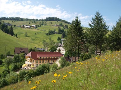 Wellnessurlaub - Infrarotkabine - Horben - Naturparkhotel Grüner Baum