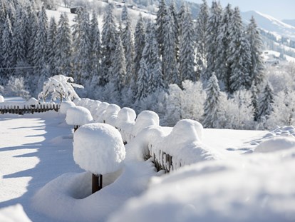 Wellnessurlaub - Tirol - Winteridylle_Garten Alpbacherhof© Alpbacherhof Matthias Sedlak - Alpbacherhof****s - Mountain & Spa Resort