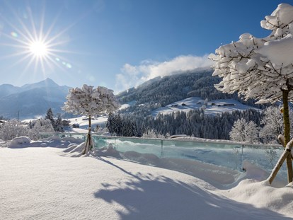 Wellnessurlaub - Tirol - Verschneiter Panoramagarten© Alpbacherhof Matthias Sedlak - Alpbacherhof****s - Mountain & Spa Resort