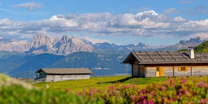Wellnessurlaub - Klassifizierung: 4 Sterne - Klausen (Trentino-Südtirol) - Hoteleigene Alm - Sonnenhotel Adler Nature Spa Adults only
