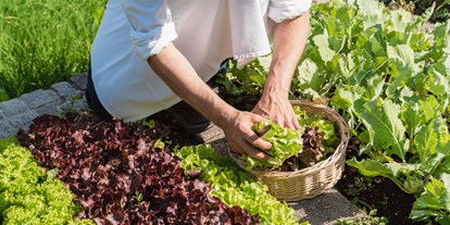 Wellnessurlaub - Preisniveau: moderat - Natz/Schabs - Salate vom eigenen Garten - Berglandhotel Untertheimerhof