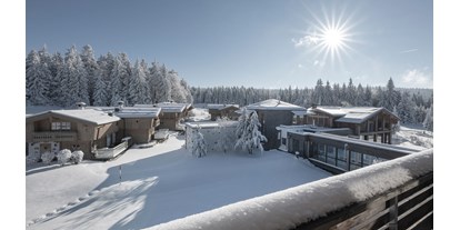 Wellnessurlaub - Umgebungsschwerpunkt: am Land - Freistadt - INNs HOLZ Chaletdorf Resort im Winter - INNs HOLZ Chaletdorf