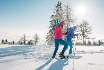 Wellnesshotel: Schneeschuhwanderung am Berg - Feuerberg Mountain Resort