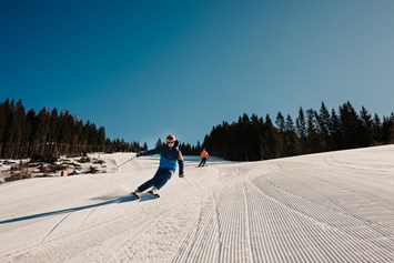 Wellnesshotel: Das Skigebiet in Filzmoos eignet sich perfekt für Familien, Anfänger und Fortgeschrittene. - Hotel …mein Neubergerhof****