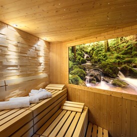 Wellnesshotel: Bio-Sauna "Schwarzwald" - Hotel Grüner Wald****S