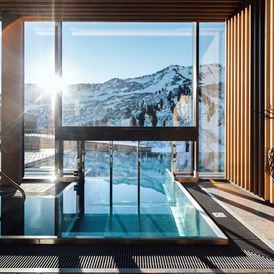 Wellnesshotel: Infinitypool  - Alpenstern Panoramahotel