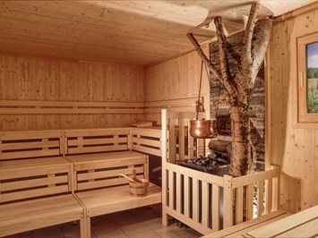 AKZENT Aktiv & Vital Hotel Thüringen Saunen und Bäder im Detail finnische Sauna