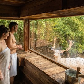 Wellnesshotel: Hubertus Sauna am Wildgehege - BollAnts Spa im Park