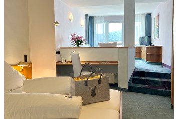 Wellnesshotel: Queichtal-Appartement, ca. 50qm, Dusche/WC, Balkon-Terrasse, Blick über das Tal - Hotel Am Hirschhorn
