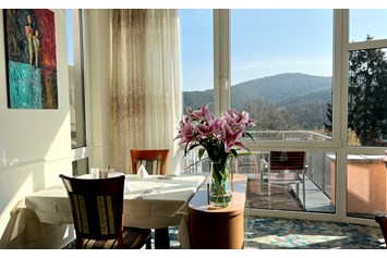 Wellnesshotel: Restaurant mit Panorama-Terrasse - Hotel Am Hirschhorn