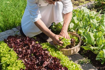 Wellnesshotel: Salate vom eigenen Garten - Berglandhotel Untertheimerhof