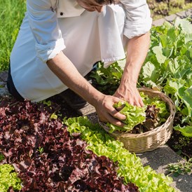 Wellnesshotel: Salate vom eigenen Garten - Berglandhotel Untertheimerhof
