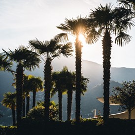 Wellnesshotel: Palm trees in Switzerland - Hotel Eden Roc Ascona 